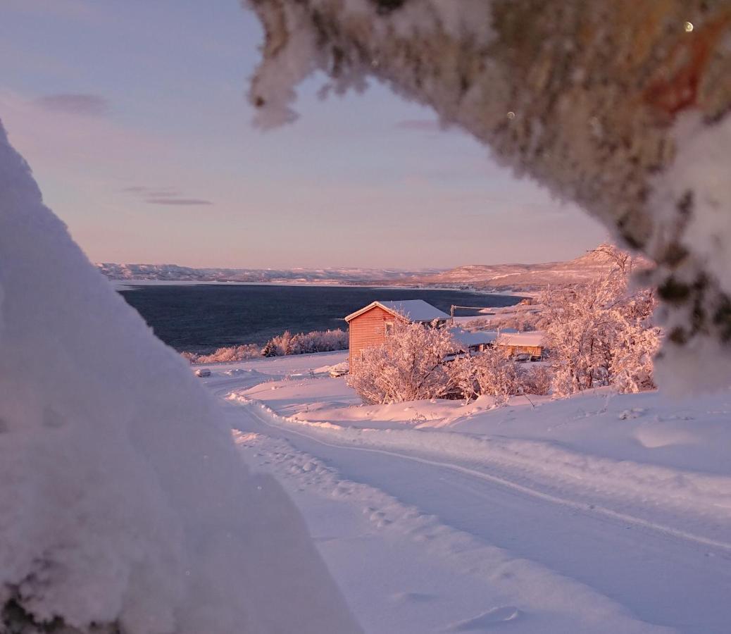 Nesseby Guesthouse Varangerbotn المظهر الخارجي الصورة